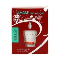 TERRE D'OC Aromatic Candle Magic Amber - Ароматична свічка "Магічний бурштин"