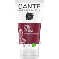 SANTE Family Gloss Hair Conditioner Birch Leaf & Vitamin B5 - Кондиціонер для блиску та об'єму волосся