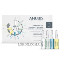 ANUBIS Concentrate Line 7 Days Shock Treatment-Hydratring & Antioxidant - Шок-терапія 7 днів "Зволоження та антиоксидант"