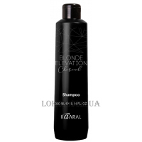 KAARAL Blonde Elevation Charcoal Shampoo - Тонуючий шампунь для освітленого волосся