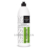 PROSALON Color Art Keratin Shampoo - Регенеруючий шампунь з кератином