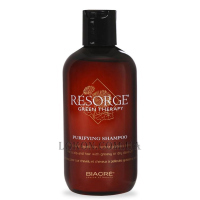 BIACRE Green Therapy Purifying Shampoo - Шампунь для жирної шкіри голови та від лупи