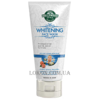 HOLLYWOOD STYLE Whitening Face Wash - Відбілюючий гель для вмивання