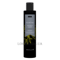 INVIDIA Botoplus Dry and Crisp Karite Shampoo - Шампунь з каріте для пористого та кучерявого волосся