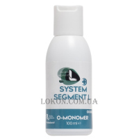 SYSTEM SEGMENT-L O-Monomer - Мономер без запаху