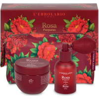 Rosa Purpurea - Пурпурна Троянда 