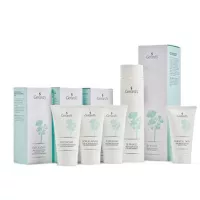 Must-Have Face - Базова лінія
