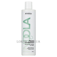 INDOLA Innova Repair Conditioner - Відовлюючий кондиціонер