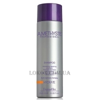 FARMAVITA Amethyste Hydrate Shampoo - Питательный шампунь для сухих и ослабленных волос