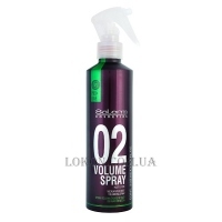 SALERM Pro Line Volume Spray - Спрей-объём для укладки волос