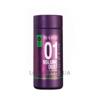 SALERM Pro Line Volume Dust Mattifying Powder - Пудра для надання волоссю об'єму та щільності