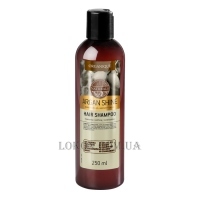 ORGANIQUE Naturals Argan Shine Hair Shampoo - Шампунь для сухих волос и чувствительной кожи