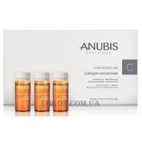 ANUBIS Concentrate Line Collagen Concentrate - Концентрат с коллагеном
