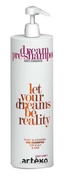 ARTEGO Easy Care Т Dream Pre Anti-Damage Shampoo - Шампунь очищающий