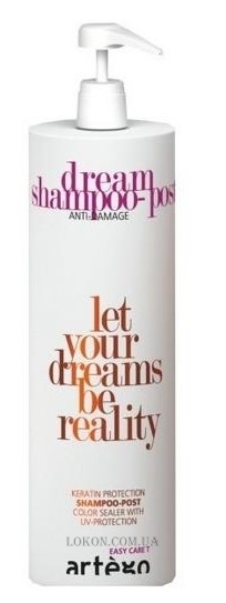 ARTEGO Easy Care Т Dream Post Anti-Damage Shampoo - Шампунь восстанавливающий