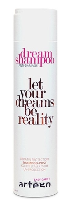 ARTEGO Easy Care Т Dream Post Anti-Damage Shampoo - Шампунь восстанавливающий