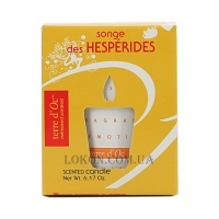 TERRE D'OC Aromatic Candle Songe des Hesperides - Ароматична свічка "Мрії Геспериди"