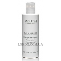 VAGHEGGI Equilibrium Cleansing Phytogel - Очищаючий фітогель для обличчя та тіла
