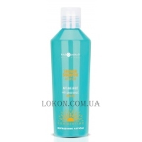 HAIR COMPANY Summertime Shower Shampoo After Sun - Шампунь для волосся та тіла після засмаги