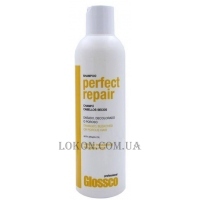 GLOSSCO Perfect Repair Shampoo - Відновлюючий шампунь