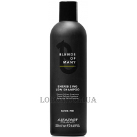 ALFAPARF Blends Of Many Energizing Low Shampoo - Чоловічий делікатний енергетичний шампунь