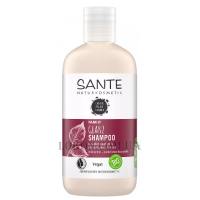 SANTE Family Birch Leaf&Plant Protein Shine Shampoo - Шампунь для блиску 