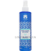 VALQUER Eco Directional Spray - Фіксуючий спрей для волосся