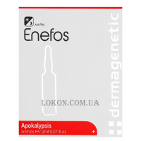 DERMAGENETIC Enefos Apokalypsis - Сироватка для відновлення бар'єрної функції шкіри