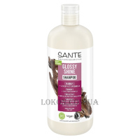 SANTE Family Glossy Shine Shampoo - Біо-шампунь для блиску волосся з протеїновим комплексом та березовим листям