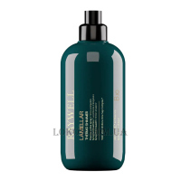 RAYWELL Bio Lamellar Thermo Shimmer Spray - Термоактивний спрей для волосся