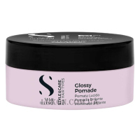 ALFAPARF Style & Care Glossy Pomade - Помада для волосся сильної фіксації