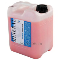 EMMEBI Polyvalent Professional Shampoo - Шампунь професійний для всіх типів волосся