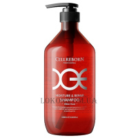CELLREBORN Cellrebiome Moisture&Repair Shampoo - Зволожуючий шампунь для пошкодженого волосся з протеїновим комплексом CGE