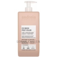ANDREIA Co-Wash Post Color - Шампунь-кондиціонер після фарбування волосся