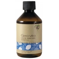 HP FIRENZE Geo Vita Grease Removing Shampoo - Шампунь для жирної шкіри голови