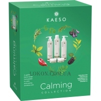 KAESO Calming - Набір подарунковий для чутливої шкіри