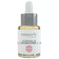 PANDHY'S Juvenalis Oil Blend - Арома-мікс 