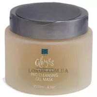 SPA ABYSS Pro Cleansing Gel Mask - Розм'якшувальна маска (замінник вапозону)