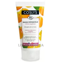 COSLYS Repairing Mask with Mirabelle - Відновлююча маска з маслом Мірабель для захисту та живлення сухого та пошкодженого волосся