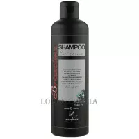 KLERAL SYSTEM Brizzolina Shampoo - Чоловічий шампунь