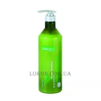 DANCOLY Aroma Shampoo Dry And Damaged Hair - Арома-шампунь для сухого та пошкодженого волосся