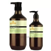 ANGEL Professional Provence Green Tea Anti Dandruff Shampoo - Шампунь проти лупи із зеленим чаєм