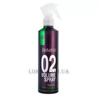 SALERM Pro Line Volume Spray - Спрей-об'єм для укладки волосся