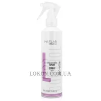 SALERM Straightening Spray - Спрей для випрямлення волосся