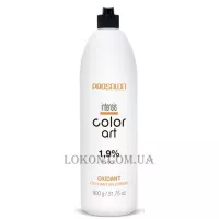 PROSALON Intensis Color Art Oxydant vol 6 - Окислювач 1,9%