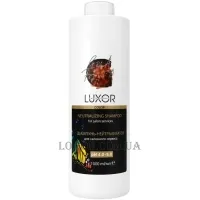 ELEA Luxor Color Shampoo Neutralizer - Шампунь-нейтралізатор після фарбування