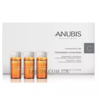 ANUBIS Concentrate Line Hidroelastin Concentrate - Концентрат з гідроеластином