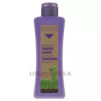 SALERM Biokera Grapeology Shampoo - Шампунь з олією виноградної кісточки