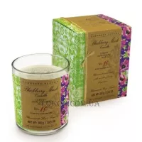 SOMERSET BLOOMS Blackberry Musk Candle - Ароматична свічка "Ожиновий мускус"