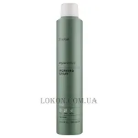 ERAYBA S10 Working Spray - Лак для волосся середньої фіксації